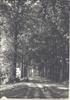 Beukenberg