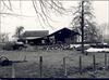 Boerderij