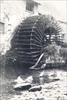 Watermolen: rad