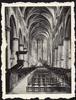 Basiliek : interieur